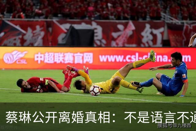 蔡琳公开离婚真相：不是语言不通，喜欢中国生活，自己开车去生娃